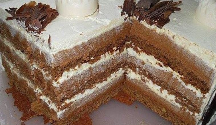 torta-plazma-cool (1)