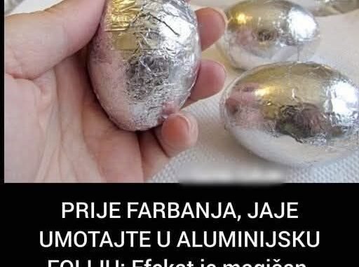 FB_IMG_1741592365813