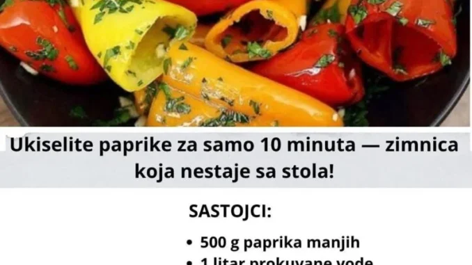 zimnica