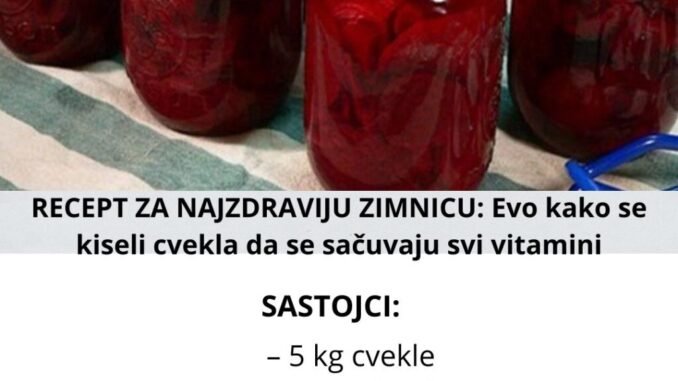najzdravija-zimnica