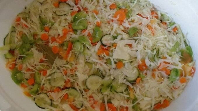 sarena-salata-1