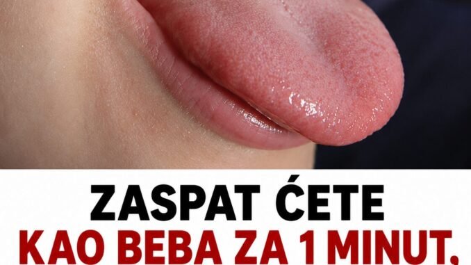 2E856B15-B8D3-4623-8764-099A59052E67