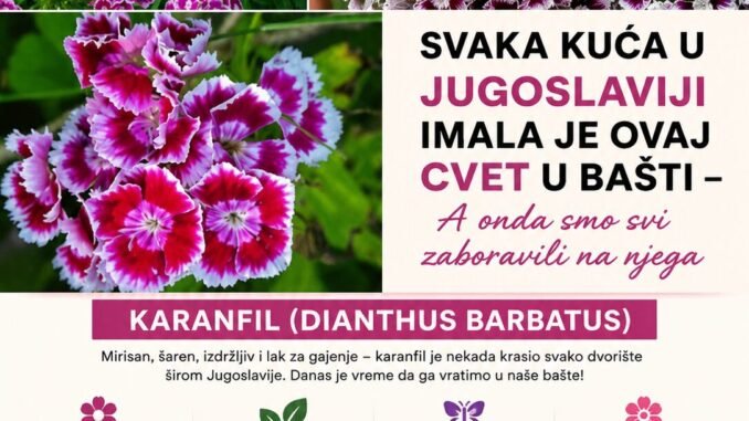 6F6FC33E-165A-4A78-A9D7-BCDAA8B2CF00