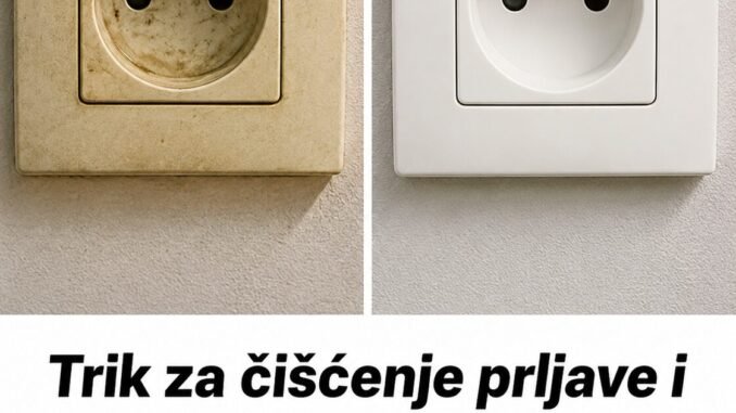 86C93622-CB68-4D02-AA4F-4CC9DEE2EB46
