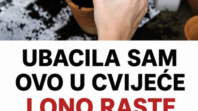 C5E96C5E-52DB-4A9A-952F-D2E0272A7B13