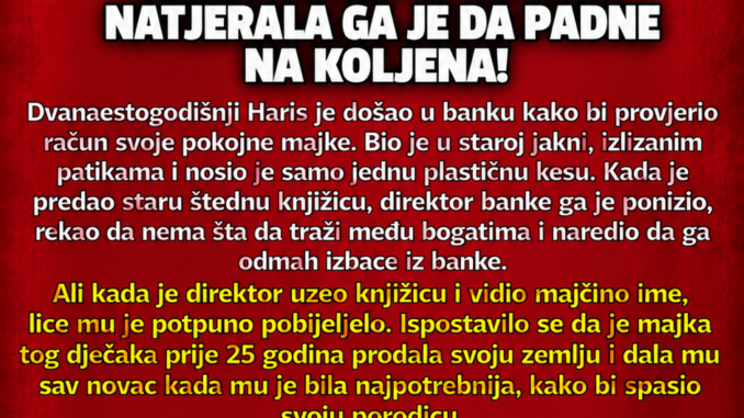01E5EC4A-054F-43A8-9C9E-59AA4B4D40E8