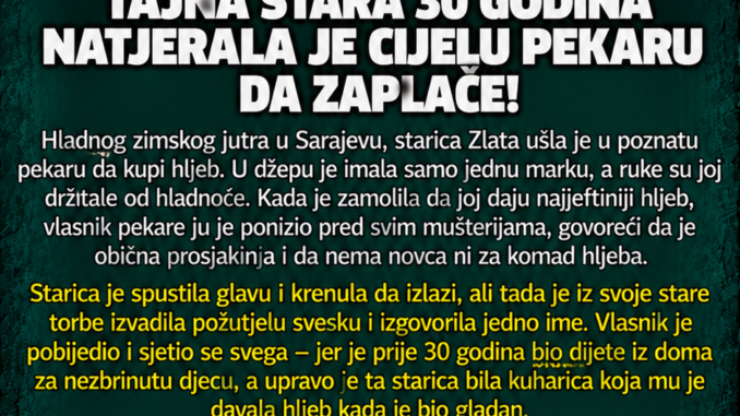 BD2EE51C-C5E8-4399-9A2E-A120023989A9